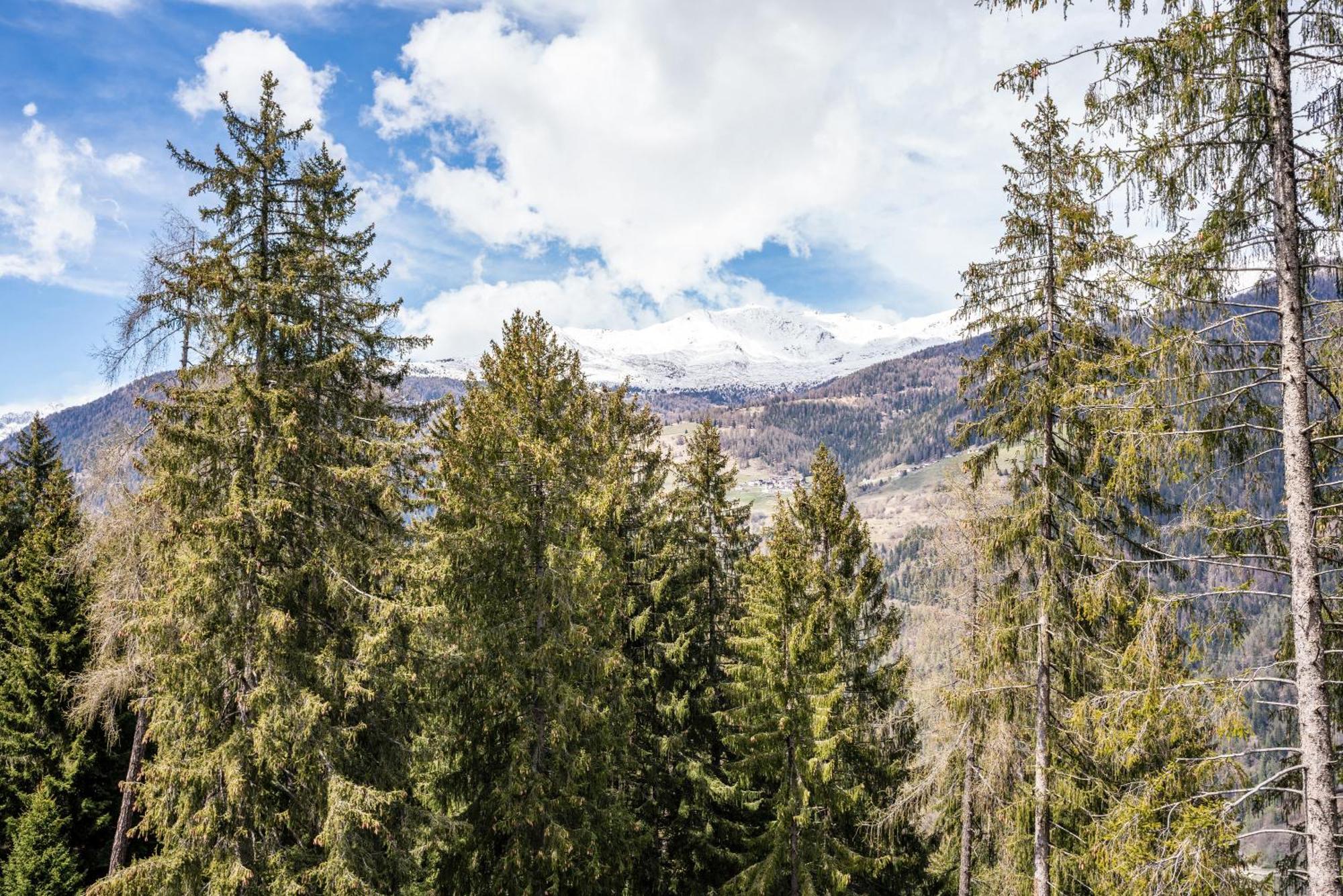 Casa Roby Al Centro Delle Dolomiti Lägenhet Marilleva Exteriör bild